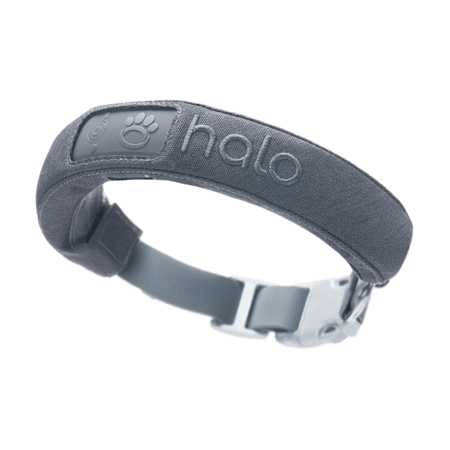 A modern, high-tech dog collar.